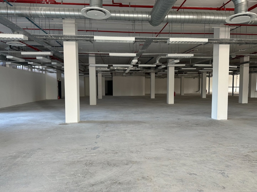 To Let commercial Property for Rent in Observatory Western Cape